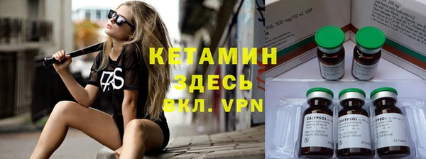 прущие грибы Вязьма