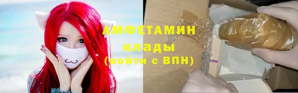шишки Медвежьегорск