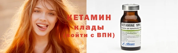 прущие грибы Вязьма