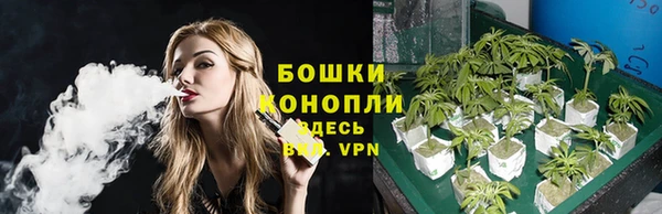 шишки Магадан