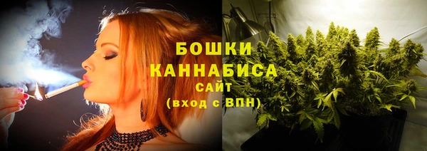 шишки Медвежьегорск