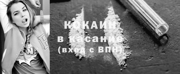 прущие грибы Вязьма