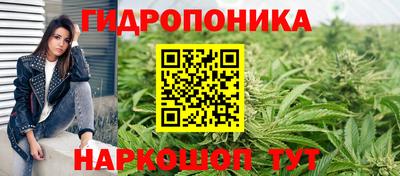 дмт Гатчина