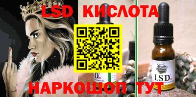 дмт Гатчина