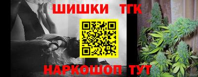 дмт Гатчина