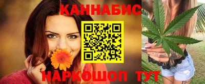 дмт Гатчина