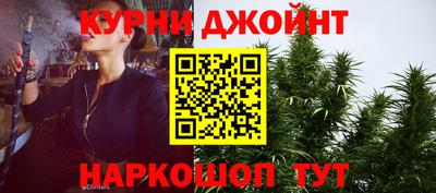 дмт Гатчина