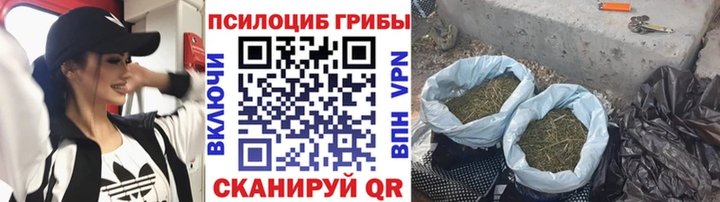mega вход  Дедовск  Псилоцибиновые грибы GOLDEN TEACHER 