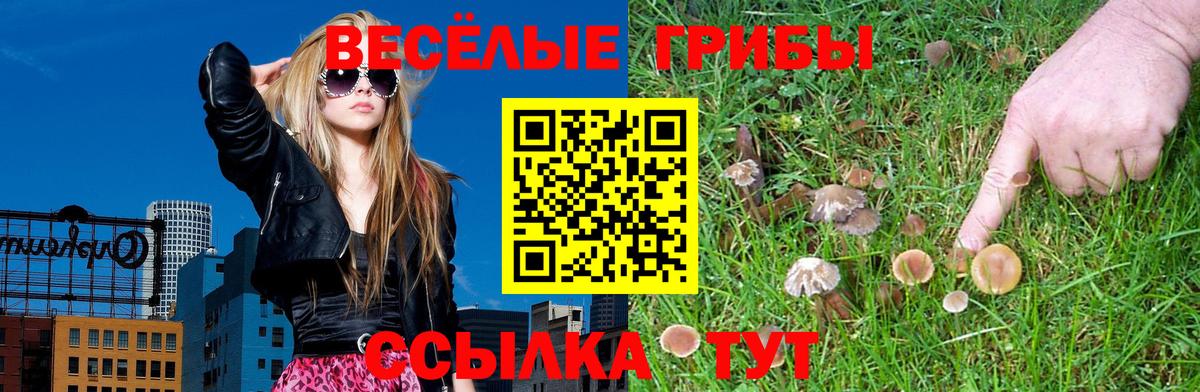 Псилоцибиновые грибы Psilocybe  Галлюциногенные грибы Magic Shrooms  Дедовск 