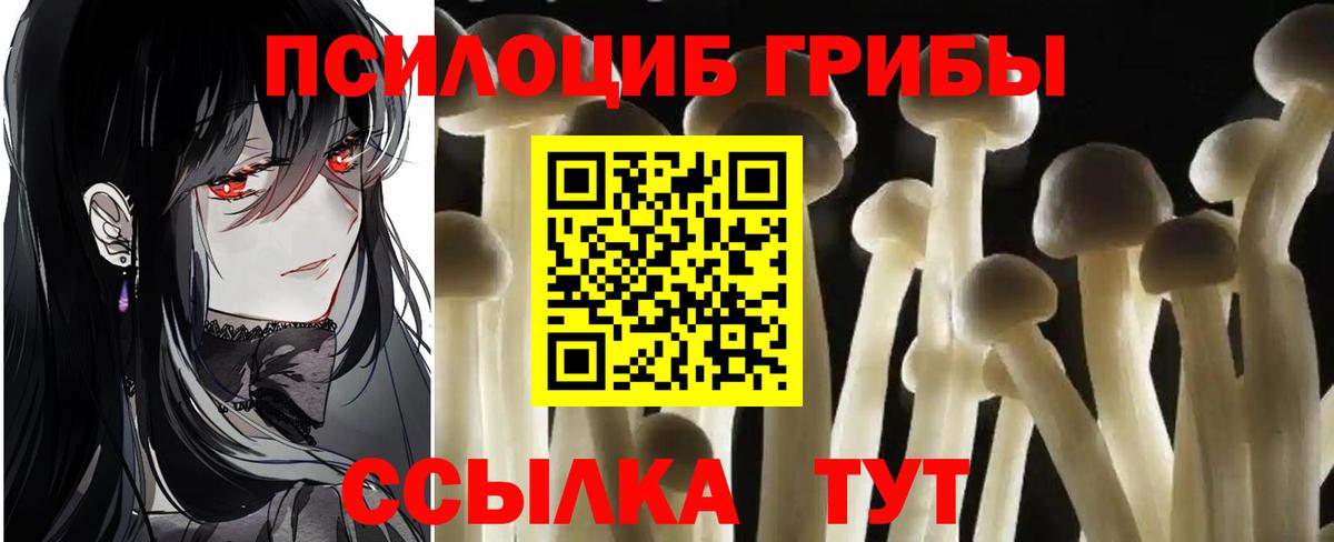 Дедовск  Псилоцибиновые грибы GOLDEN TEACHER  Вход с VPN 
